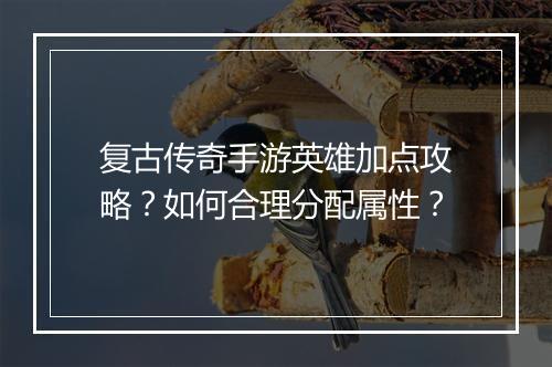 复古传奇手游英雄加点攻略?如何合理分配属性?