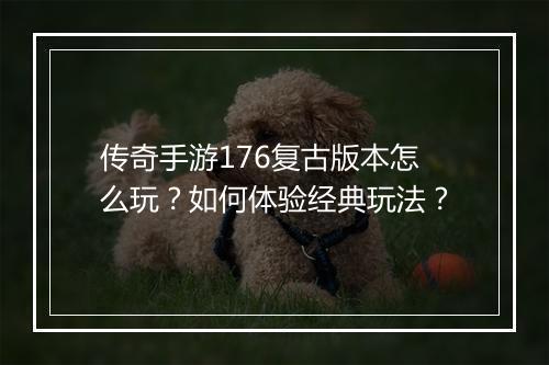 传奇手游176复古版本怎么玩？如何体验经典玩法？