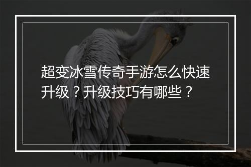超变冰雪传奇手游怎么快速升级？升级技巧有哪些？