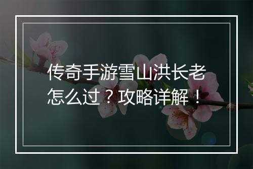 传奇手游雪山洪长老怎么过？攻略详解！