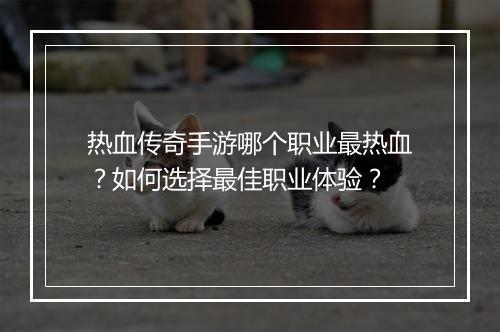 热血传奇手游哪个职业最热血？如何选择最佳职业体验？