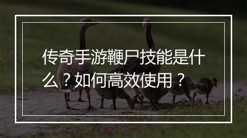 传奇手游鞭尸技能是什么？如何高效使用？
