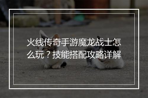 火线传奇手游魔龙战士怎么玩？技能搭配攻略详解