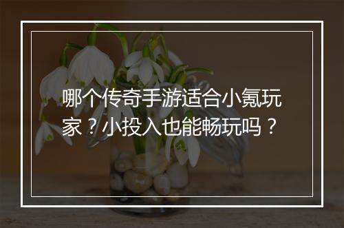 哪个传奇手游适合小氪玩家？小投入也能畅玩吗？