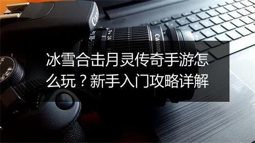 冰雪合击月灵传奇手游怎么玩？新手入门攻略详解