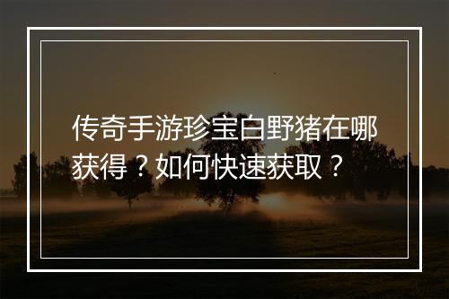 传奇手游珍宝白野猪在哪获得？如何快速获取？