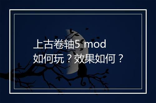上古卷轴5 mod 如何玩？效果如何？