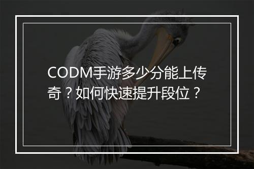 CODM手游多少分能上传奇？如何快速提升段位？