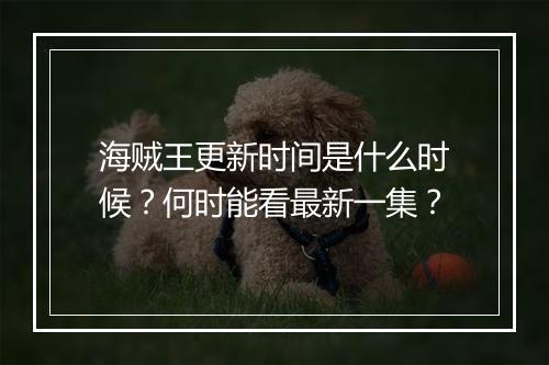 海贼王更新时间是什么时候？何时能看最新一集？