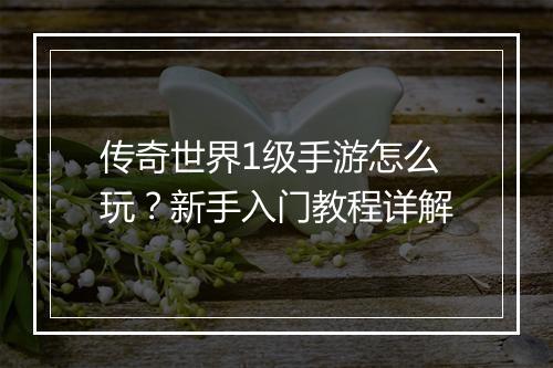 传奇世界1级手游怎么玩？新手入门教程详解