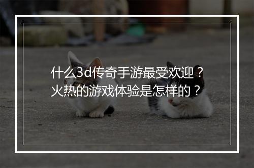 什么3d传奇手游最受欢迎？火热的游戏体验是怎样的？