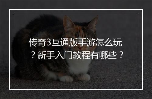 传奇3互通版手游怎么玩？新手入门教程有哪些？