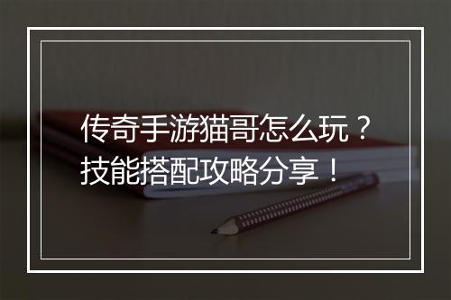传奇手游猫哥怎么玩？技能搭配攻略分享！