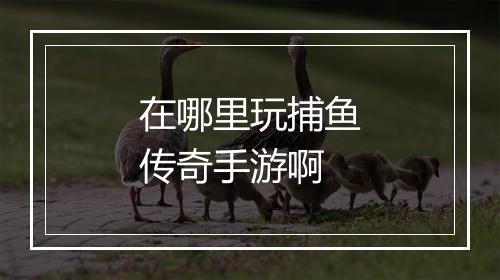 在哪里玩捕鱼传奇手游啊