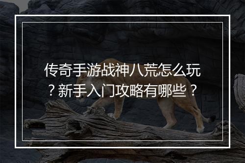 传奇手游战神八荒怎么玩？新手入门攻略有哪些？
