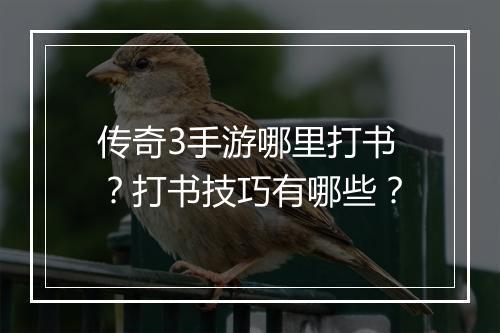传奇3手游哪里打书？打书技巧有哪些？