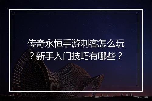 传奇永恒手游刺客怎么玩？新手入门技巧有哪些？