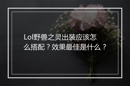 Lol野兽之灵出装应该怎么搭配？效果最佳是什么？