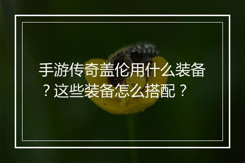 手游传奇盖伦用什么装备？这些装备怎么搭配？