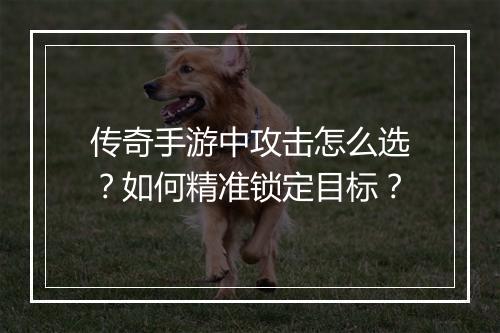 传奇手游中攻击怎么选？如何精准锁定目标？