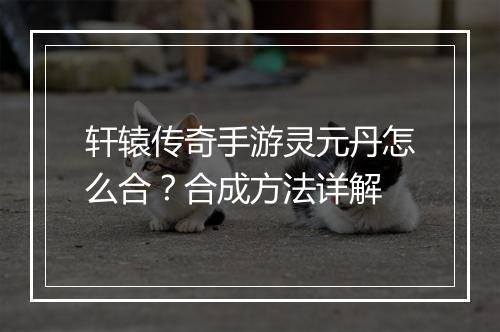 轩辕传奇手游灵元丹怎么合？合成方法详解