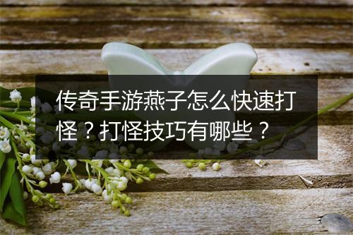 传奇手游燕子怎么快速打怪？打怪技巧有哪些？