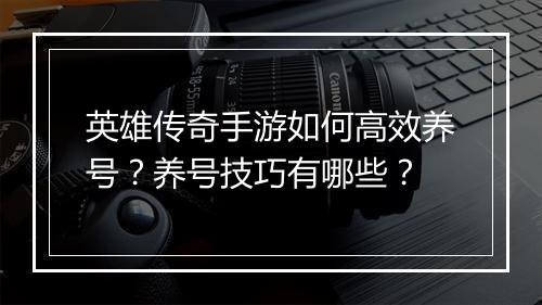 英雄传奇手游如何高效养号？养号技巧有哪些？