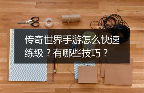 传奇世界手游怎么快速练级？有哪些技巧？