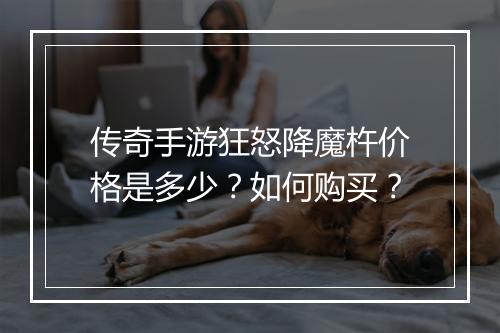 传奇手游狂怒降魔杵价格是多少？如何购买？