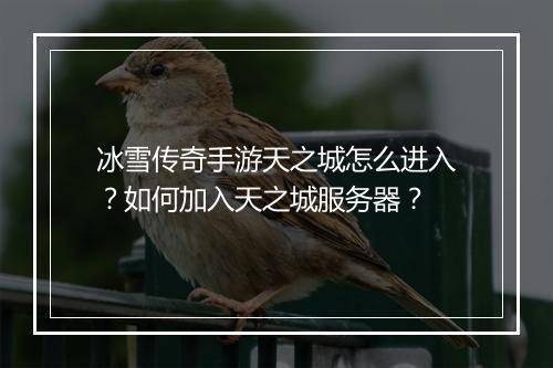 冰雪传奇手游天之城怎么进入？如何加入天之城服务器？
