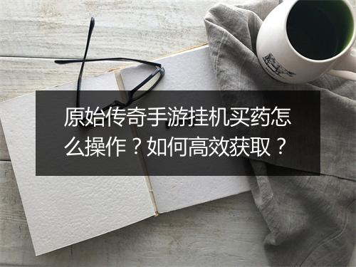 原始传奇手游挂机买药怎么操作？如何高效获取？