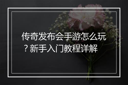传奇发布会手游怎么玩？新手入门教程详解