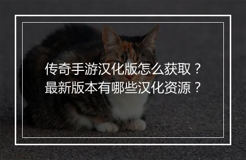 传奇手游汉化版怎么获取？最新版本有哪些汉化资源？