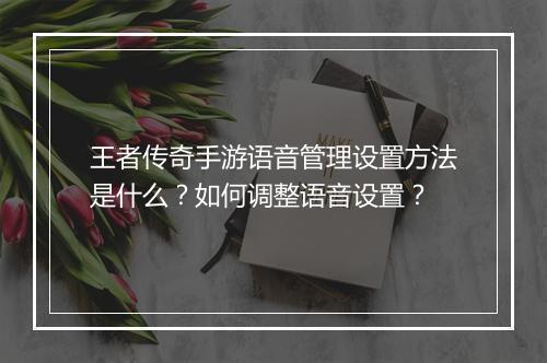 王者传奇手游语音管理设置方法是什么？如何调整语音设置？