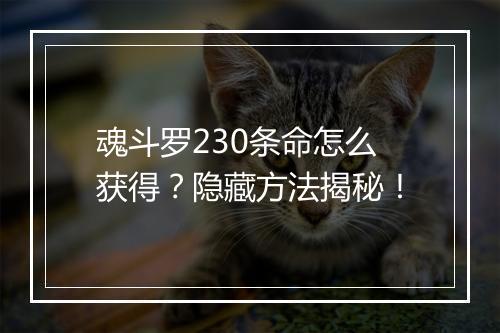 魂斗罗230条命怎么获得？隐藏方法揭秘！