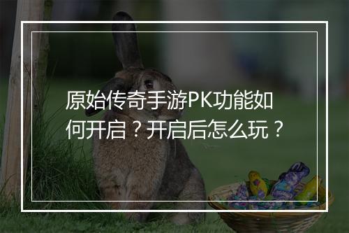 原始传奇手游PK功能如何开启？开启后怎么玩？