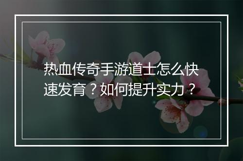 热血传奇手游道士怎么快速发育？如何提升实力？