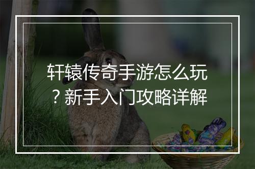 轩辕传奇手游怎么玩？新手入门攻略详解
