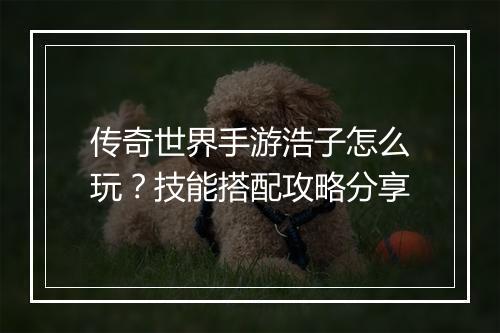 传奇世界手游浩子怎么玩？技能搭配攻略分享