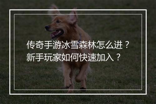 传奇手游冰雪森林怎么进？新手玩家如何快速加入？