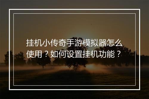 挂机小传奇手游模拟器怎么使用？如何设置挂机功能？