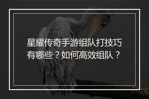星耀传奇手游组队打技巧有哪些？如何高效组队？