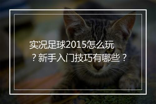 实况足球2015怎么玩？新手入门技巧有哪些？