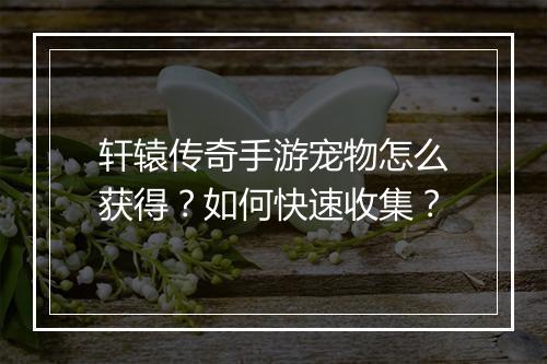 轩辕传奇手游宠物怎么获得？如何快速收集？