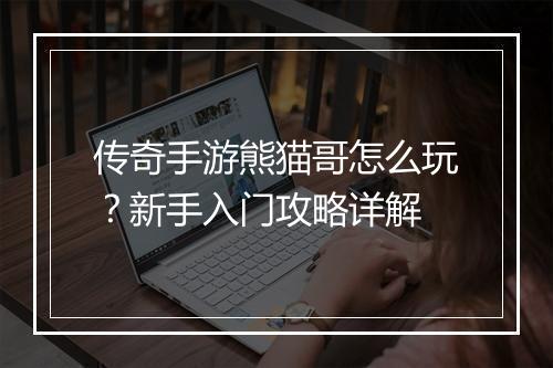 传奇手游熊猫哥怎么玩？新手入门攻略详解