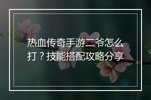 热血传奇手游二爷怎么打？技能搭配攻略分享