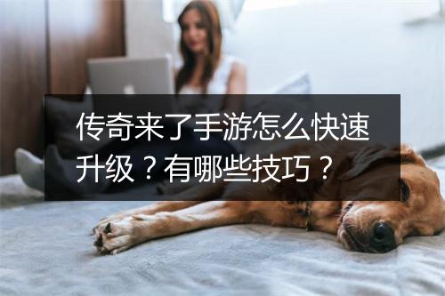 传奇来了手游怎么快速升级？有哪些技巧？
