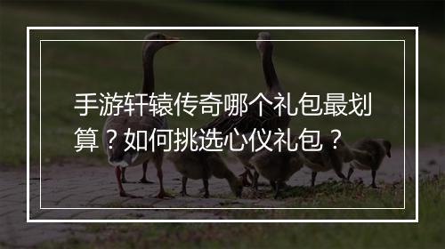 手游轩辕传奇哪个礼包最划算？如何挑选心仪礼包？