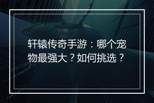 轩辕传奇手游：哪个宠物最强大？如何挑选？