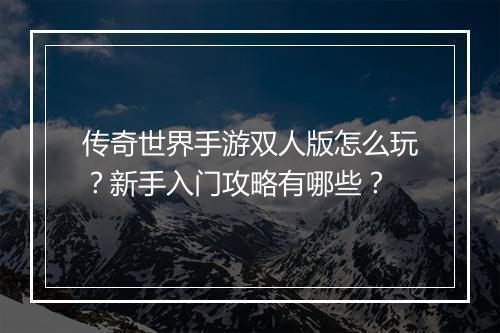 传奇世界手游双人版怎么玩？新手入门攻略有哪些？